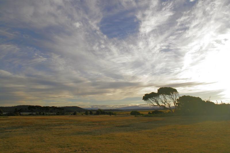 Narawntapu National  Park, Tasmania, Au - Narwntapu Park,  ©2009 Martin Oretsky